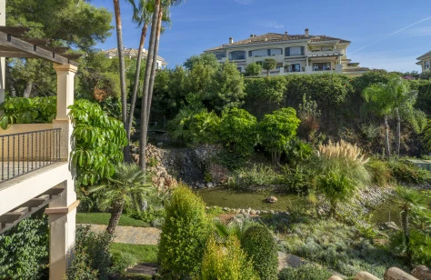 Mature subtropical gardens in Aloha Park with residential buildings beyond